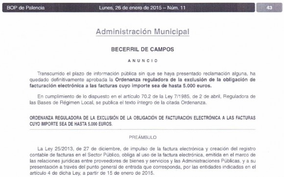 exclusión factura electrónica1