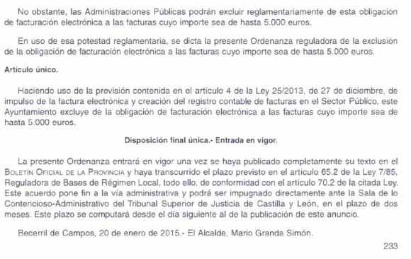 exclusión factura electrónica2